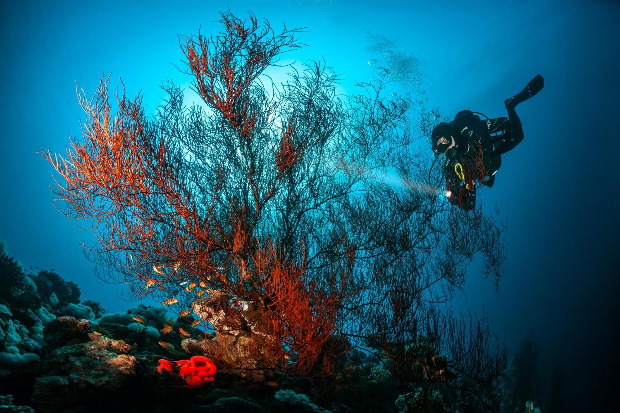 Post Hotel Αμμάν Εξωτερικό φωτογραφία